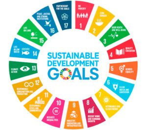 The 17 Sustainable Development Goals (SDGs), which are an urgent call for action by all countries - developed and developing - in a global partnership.